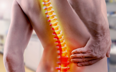 Spine Surgery - Mindspine